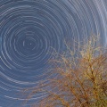 20241114 PLG9 startrail