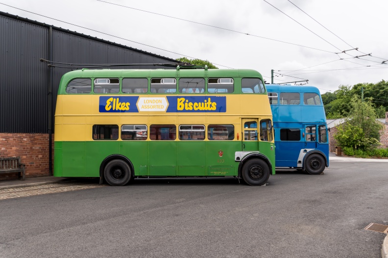 20230704 D72 6798